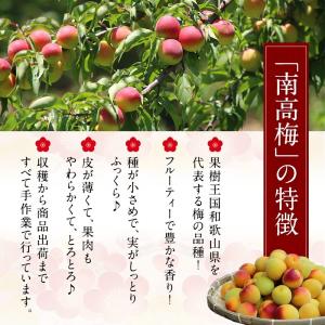 (訳あり)塩分3% 紀州南高梅 つぶれ梅食べ比...の詳細画像3
