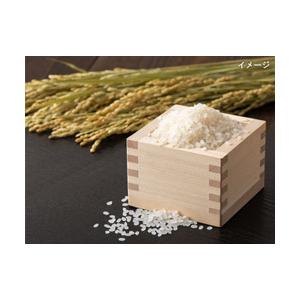 新之助 無洗米 10kg(5kg×2) 令和7...の詳細画像3