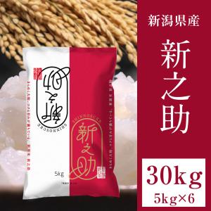 新之助 玄米30kg 1等 新潟県中越産 令和6年産 新米 【精米料無料