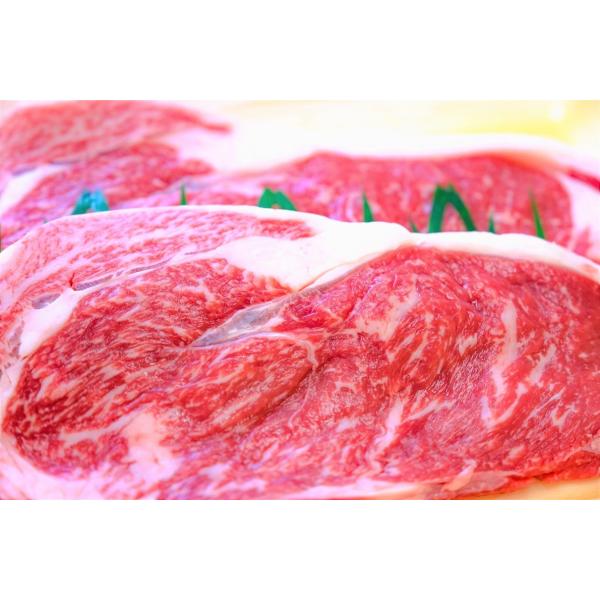 土佐あかうし　サーロインステーキ  250g×2枚