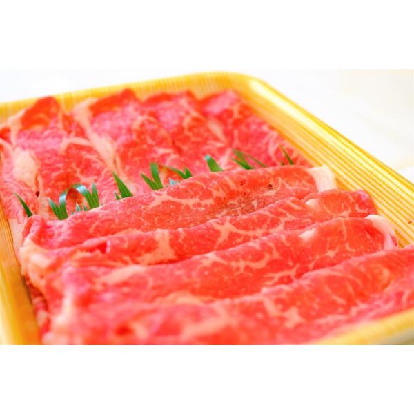 土佐あかうし　和牛サーロインすき焼き　500g