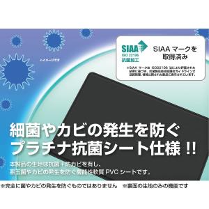 【目隠しあり/抗菌/1枚】マイナンバーカードケ...の詳細画像3