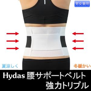 ハイダス 腰サポートベルト 強力ダブル‐在宅勤務 リモートワーク 腰痛