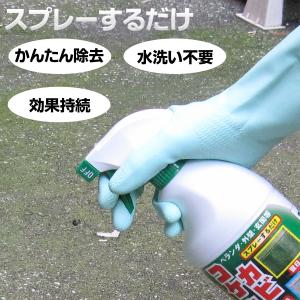 1本 スプレー式 屋外用 コケカビ取り 850...の詳細画像1