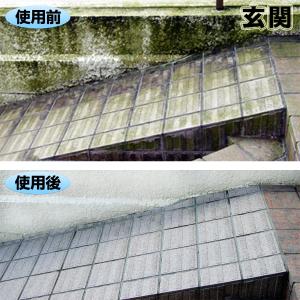 1本 スプレー式 屋外用 コケカビ取り 850...の詳細画像2
