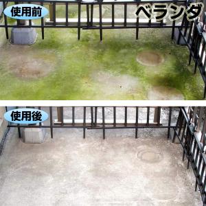 1本 スプレー式 屋外用 コケカビ取り 850...の詳細画像3