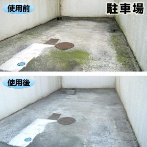1本 スプレー式 屋外用 コケカビ取り 850...の詳細画像4