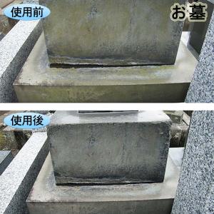 1本 スプレー式 屋外用 コケカビ取り 850...の詳細画像5
