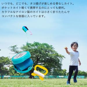 凧 ポケットカイト Pocketkite‐カイ...の詳細画像1