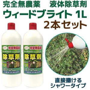 デーツ苗木　3本　無農薬　除草剤無し 送料無料 3本組 除草剤 ウィードブライト 1L 3本-お子様やペットに