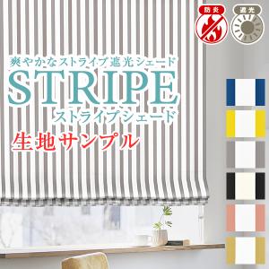 BONUS STORE|5/15 0:00〜23...の商品画像