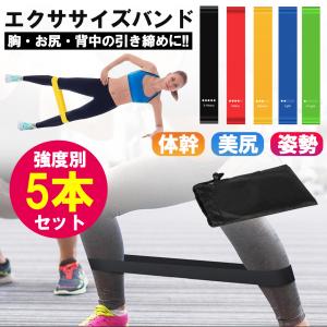 ゴムバンド トレーニングチューブ ゴムチューブ 5本セット強度別 ヒップアップ 収納袋付き