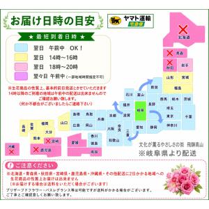 おまかせアレンジメント Msize お供え 花...の詳細画像4