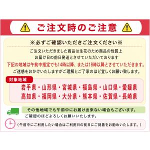 おまかせアレンジメント Msize お供え 花...の詳細画像5