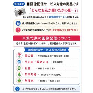 クール便で贈る お供えおまかせフラワーアレンジ...の詳細画像1