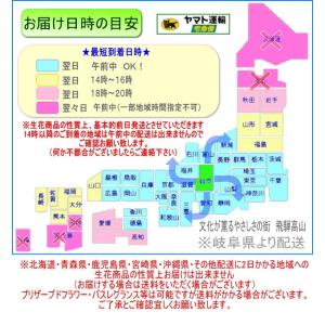 誕生日 フラワーギフトMサイズ 花束 アレンジ...の詳細画像1
