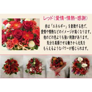 冷蔵便で贈る 誕生日 フラワーギフト 花束 ア...の詳細画像1
