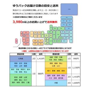 栗ペースト 1個 260g 栗庵風味堂 国産 ...の詳細画像4