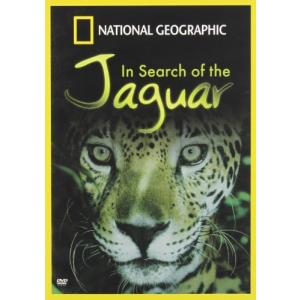 In Search of the Jaguar DVD Import｜kurichan-shop