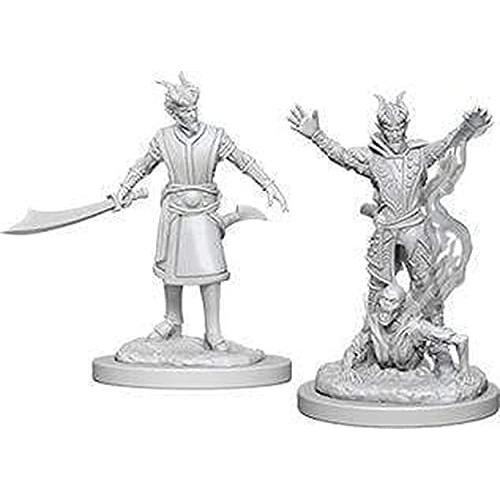 WizKids D &amp; D Nolzur&apos;s Marvellous Miniatures: Male...