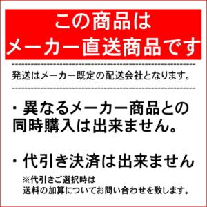 メダリストワンデープラス マキシBOX 1箱9...の詳細画像3