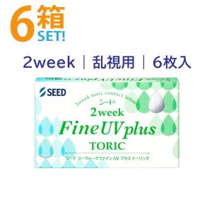 2ウィーク ファインUVプラス トーリック 6枚...の商品画像