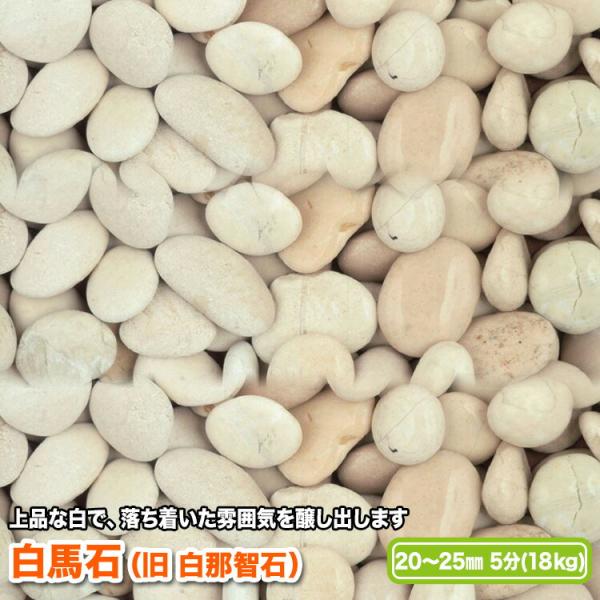 白馬石（旧 白馬白那智）20〜25mm(5分)【送料無料】