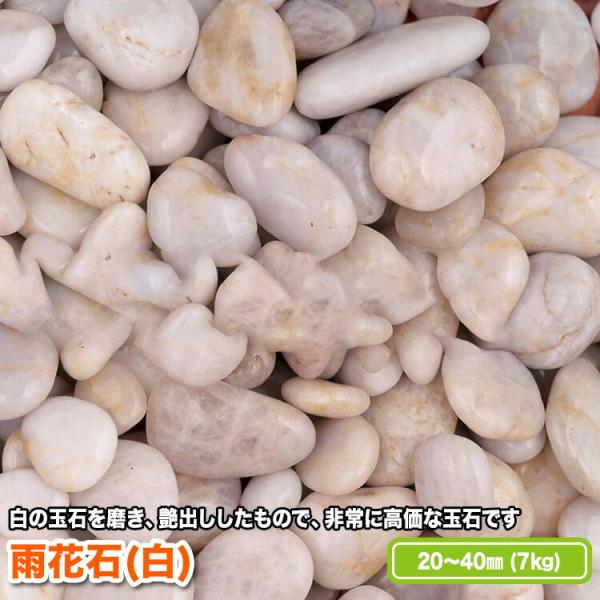 雨花石(白) 20〜40mm(7kg)【送料無料】