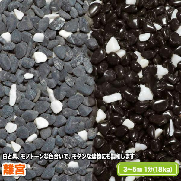 離宮 3〜5mm(1分)【送料無料】