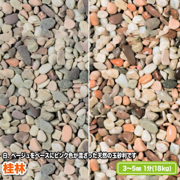 桂林 3〜5mm(1分)【送料無料】