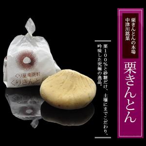 岐阜県 中津川 栗100% 栗きんとん 8個箱...の詳細画像3