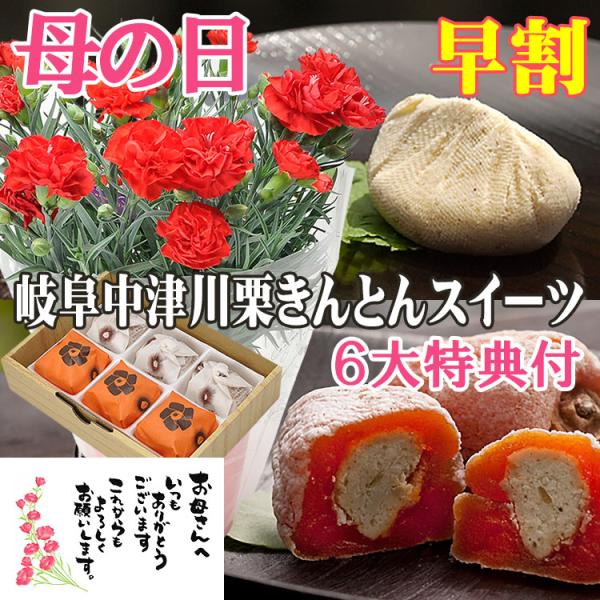 母の日 花 ギフト 2026 早割 プレゼント お菓子 和菓子 花とスイーツ メッセージ 高級 花と...