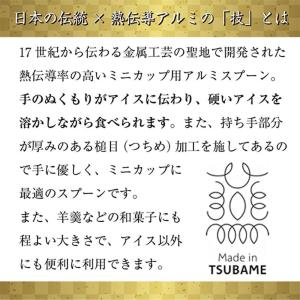 アイスクリーム用 熱伝導スプーン 2本 ギフト...の詳細画像3