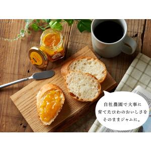 国産 淡路島産 島ジャム ジャム びわ 100...の詳細画像3