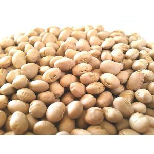 素煎り大豆 500g 国産 チャック袋 500gX1袋 九州工場製造品 黒田屋