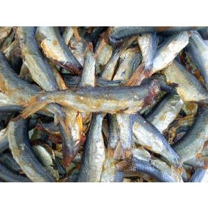 味付焼きあご 1000g 九州工場製造品 1000gX1袋 焼あご 黒田屋