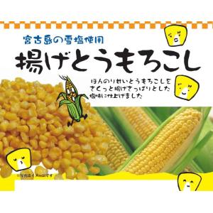 揚げとうもろこし 480g 小分け個包装ピロ ...の詳細画像2
