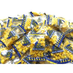 揚げとうもろこし 160g 小分け個包装ピロ 愛知工場製造品...