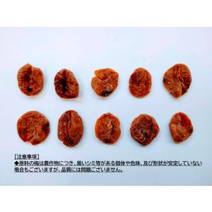 やわらか種なし干し梅 500g 甘酸っぱい味わ...の詳細画像4