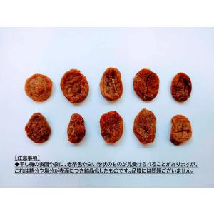 やわらか種なし干し梅 500g 甘酸っぱい味わ...の詳細画像3