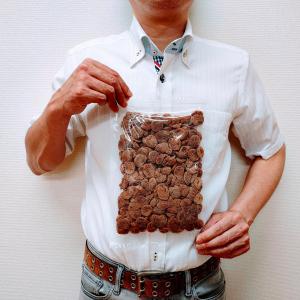やわらか種なし干し梅 500g 甘酸っぱい味わ...の詳細画像2