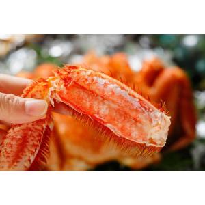 北海道 雄武産 毛ガニ 約800g×1尾 特大...の詳細画像1