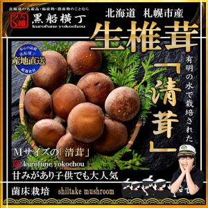 札幌清田産　生椎茸　肉厚な「清茸」　Ｍサイズ10玉×２　【産地直送】　（椎茸・シイタケ・しいたけ）　化粧箱入!!