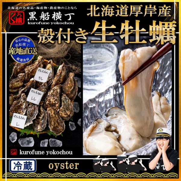 北海道 厚岸産 マルえもん 生 牡蠣 殻付き Lサイズ 10個 カキナイフ 軍手付 産地直送 カキ ...