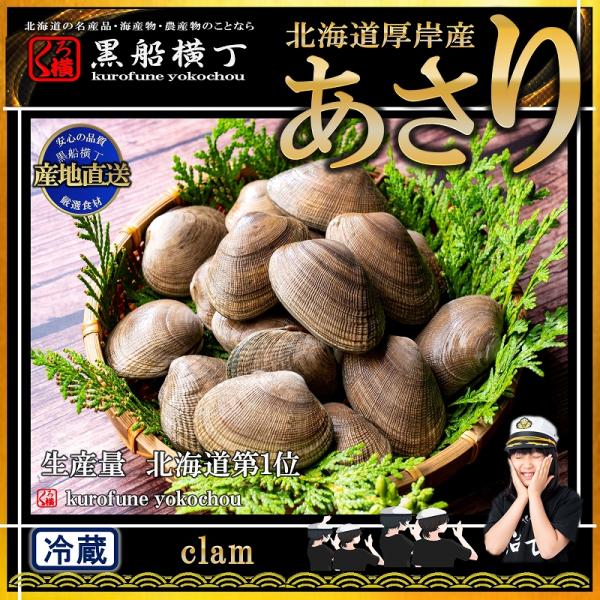 北海道 厚岸産 あさり 特大サイズ 3kg 105粒前後【産地直送 国産】アサリ 浅利 貝 かい カ...