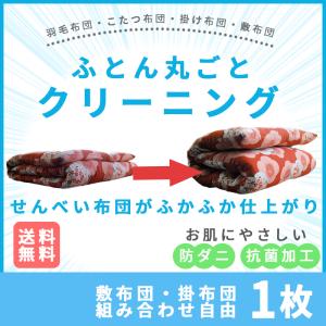 ふとん宅配クリーニング 1枚コース 防菌防ダニ加工付き！布団　丸洗い　クリ