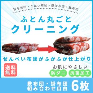 ふとん宅配クリーニング 6枚コース 防菌防ダニ加工付き！布団クリ