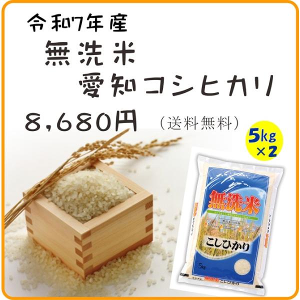令和7年産無洗米コシヒカリ(白米)