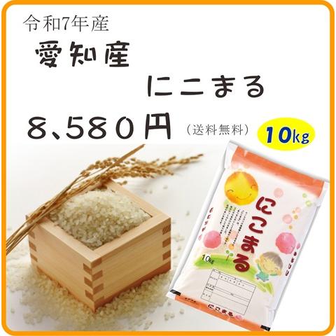 令和7年産愛知産にこまる10キロ