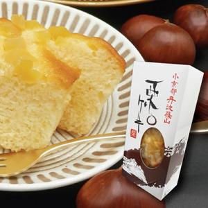 栗ケーキ　-ふっくらおいしいスイーツです-